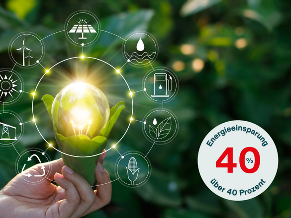 Hand holding light bulb against nature on green leaf with icons energy sources for renewable, sustainable development. Ecology concept. Elements of this image furnished by NASA.